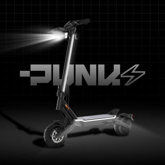 Punk Roamer