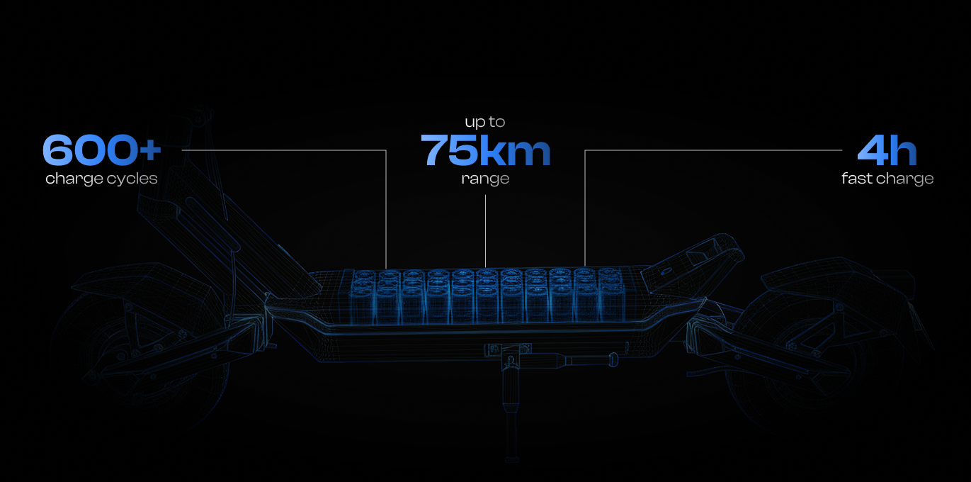 <p>Advanced BMS</p>