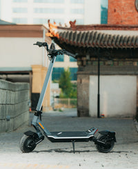 Punk Rider Pro Max