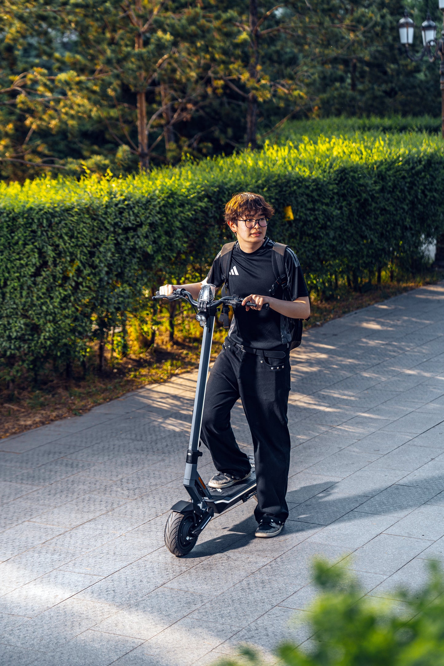 Punk Rider Pro
