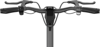 Punk Rider Pro